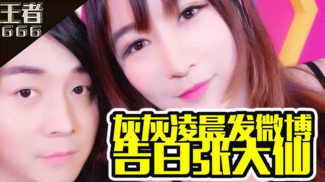 王者荣耀十一月的最后一天主播灰灰发博怀念与张大仙的爱情