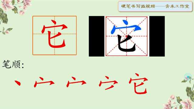它的书写笔顺微视频青禾工作室