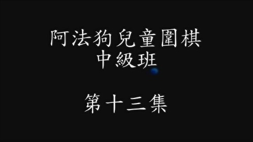 现代围棋阿尔法狗10级至5级(13/19)小目妖刀定式(石)