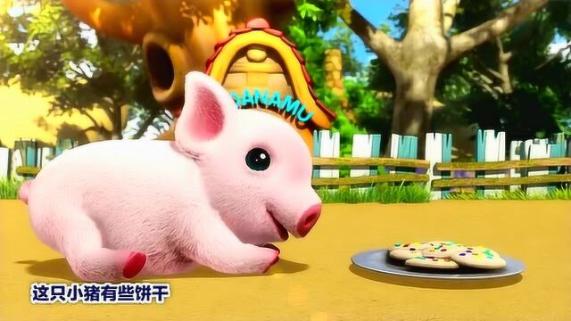 巴塔木儿歌《我的小猪》可爱的小肥猪