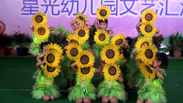 12舞蹈花儿朵朵向阳开