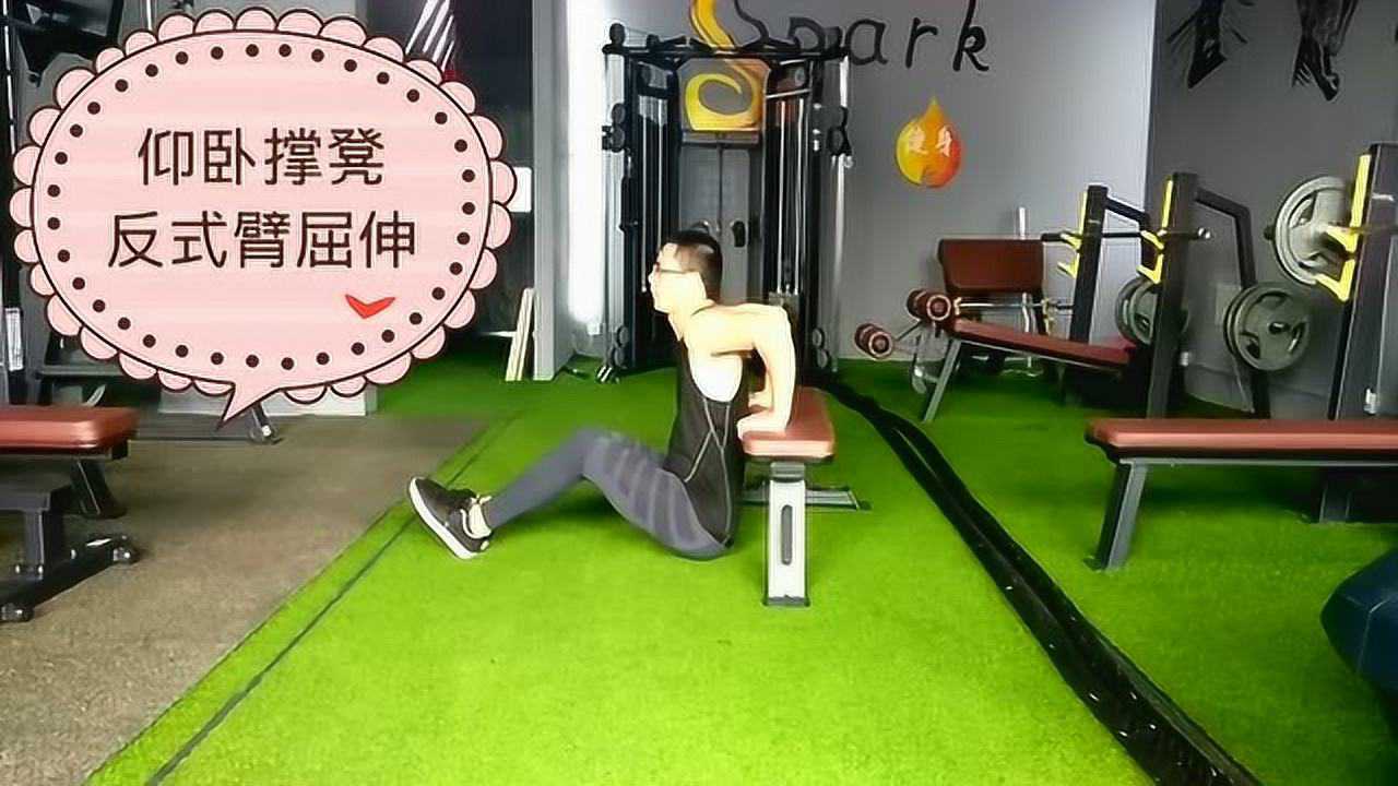 仰卧撑凳反式臂屈伸教学