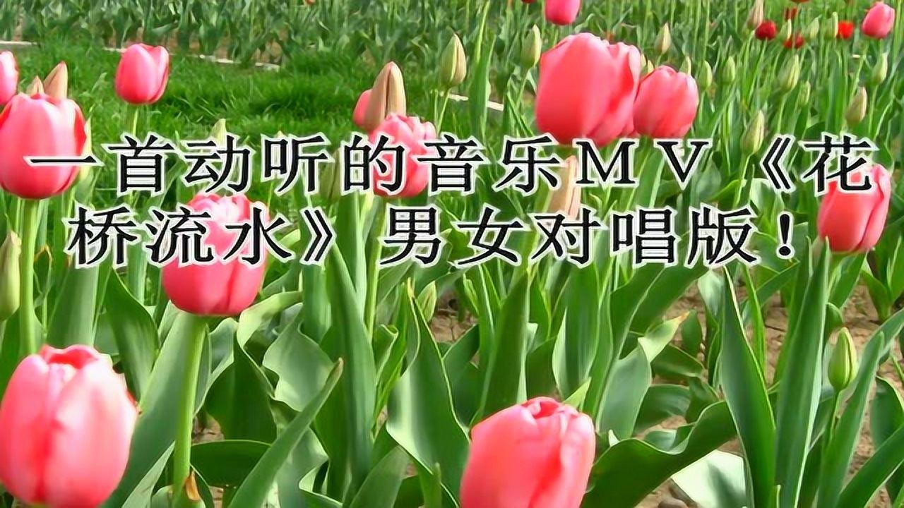 一首动听的音乐mv花桥流水男女对唱版