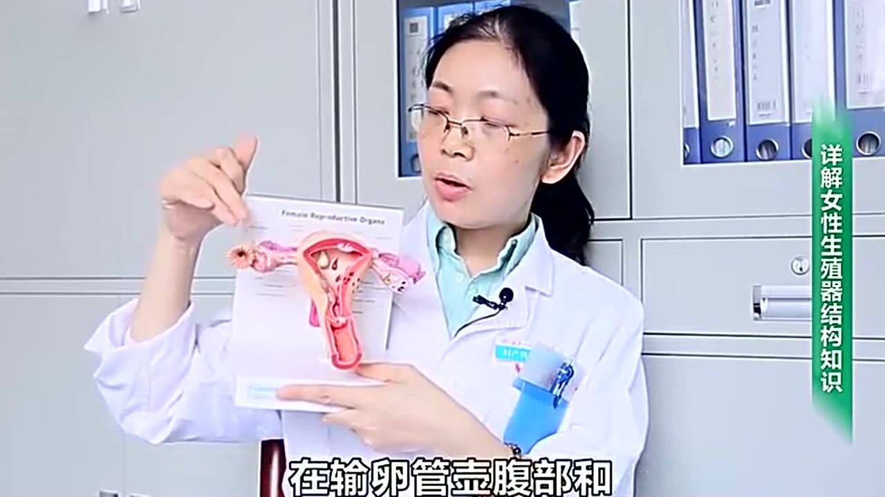 女性生殖器官原来是这样的，一分钟了解女性身体秘密！_高清