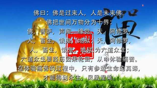 仓央嘉措——《我问佛》