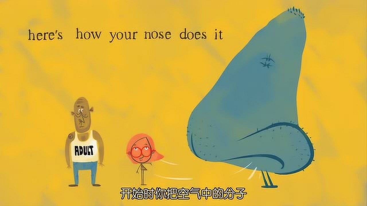 嗅觉原理——鼻子如何闻气味_高清1080P在线观看平台_腾讯视频