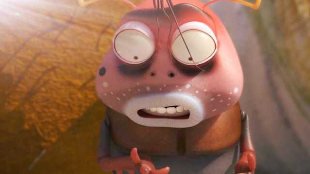 爆笑虫子 屎壳郎教你起死回生神奇按摩术