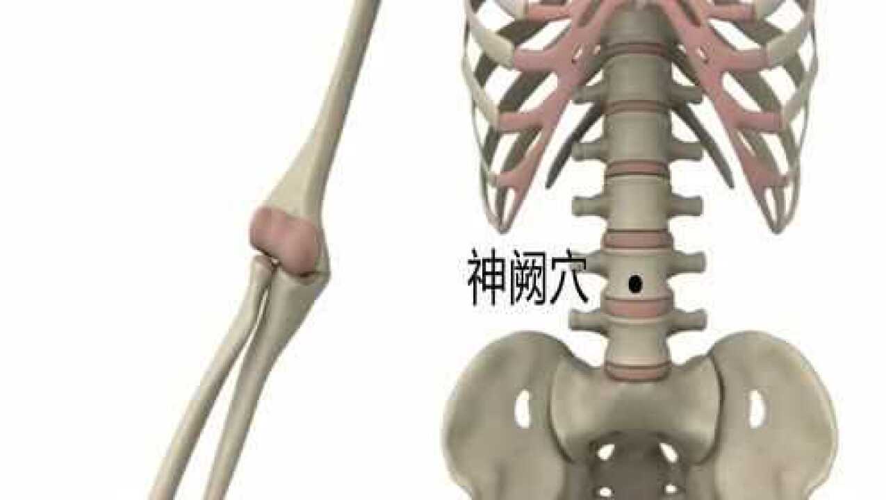 将象和中医艾灸针灸取穴：神阙穴_腾讯视频