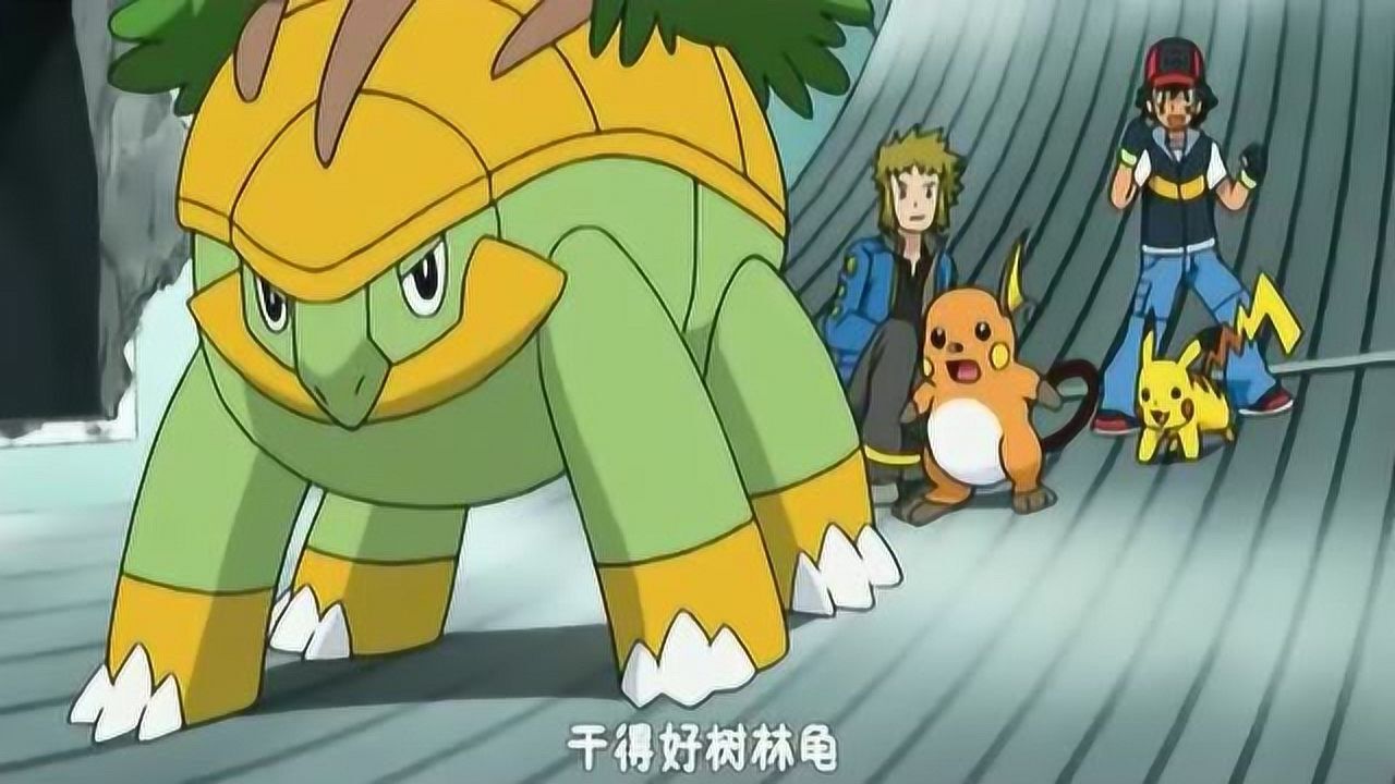 神奇宝贝树林龟进化成土台龟火箭队直呼不公平
