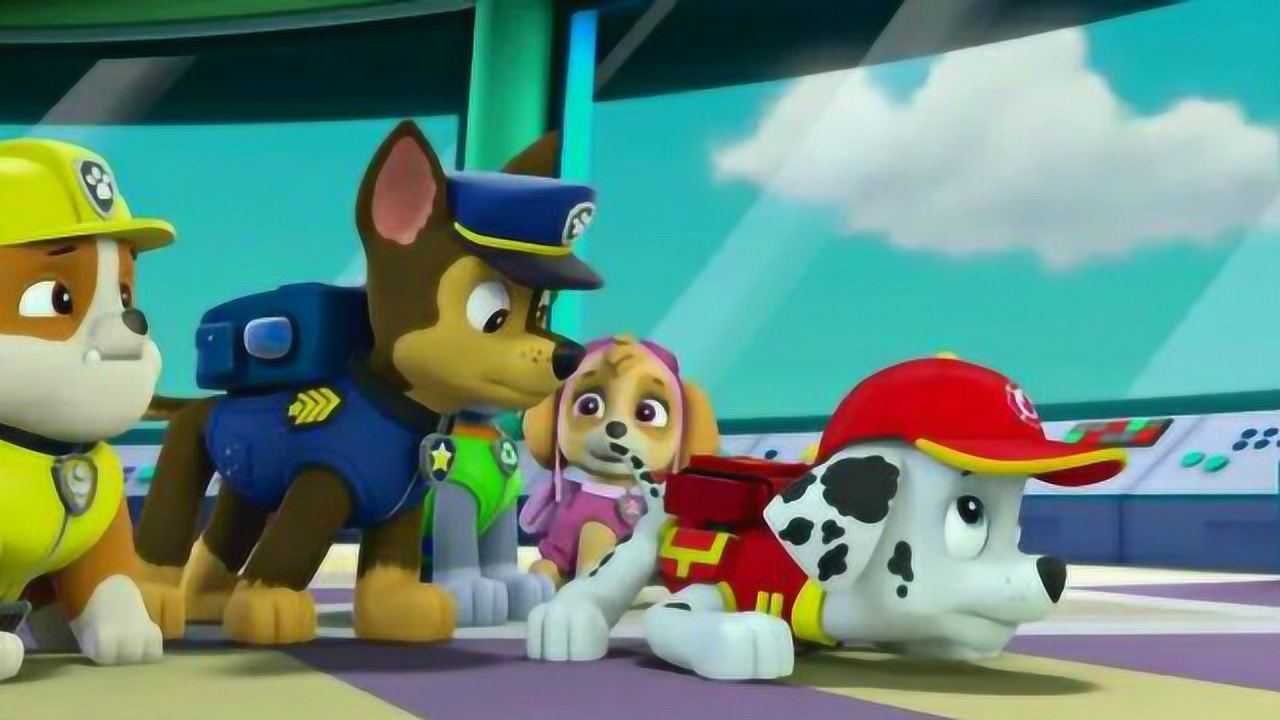 狗狗巡逻队 毛毛和阿奇比赛谁的鼻子最灵敏