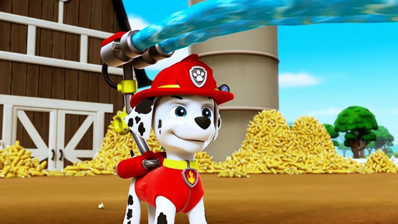 汪汪队立大功 毛毛用水枪灭火救玉米