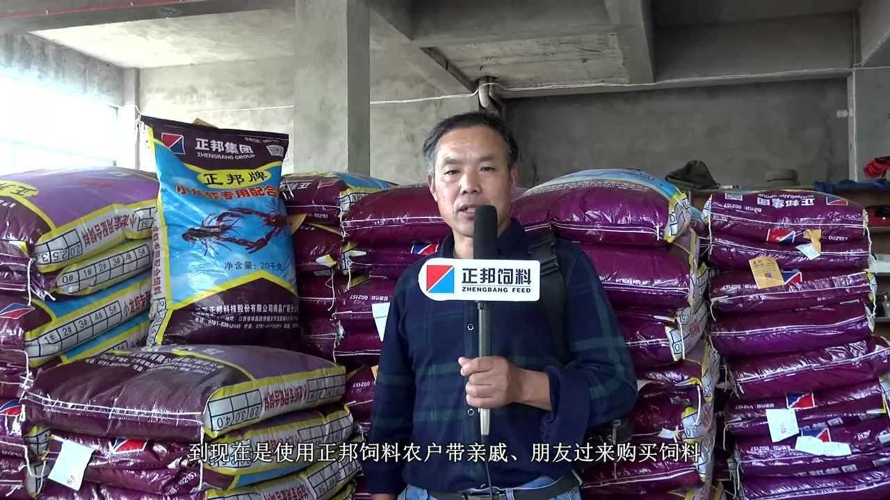 龙虾养殖就选正邦饲料