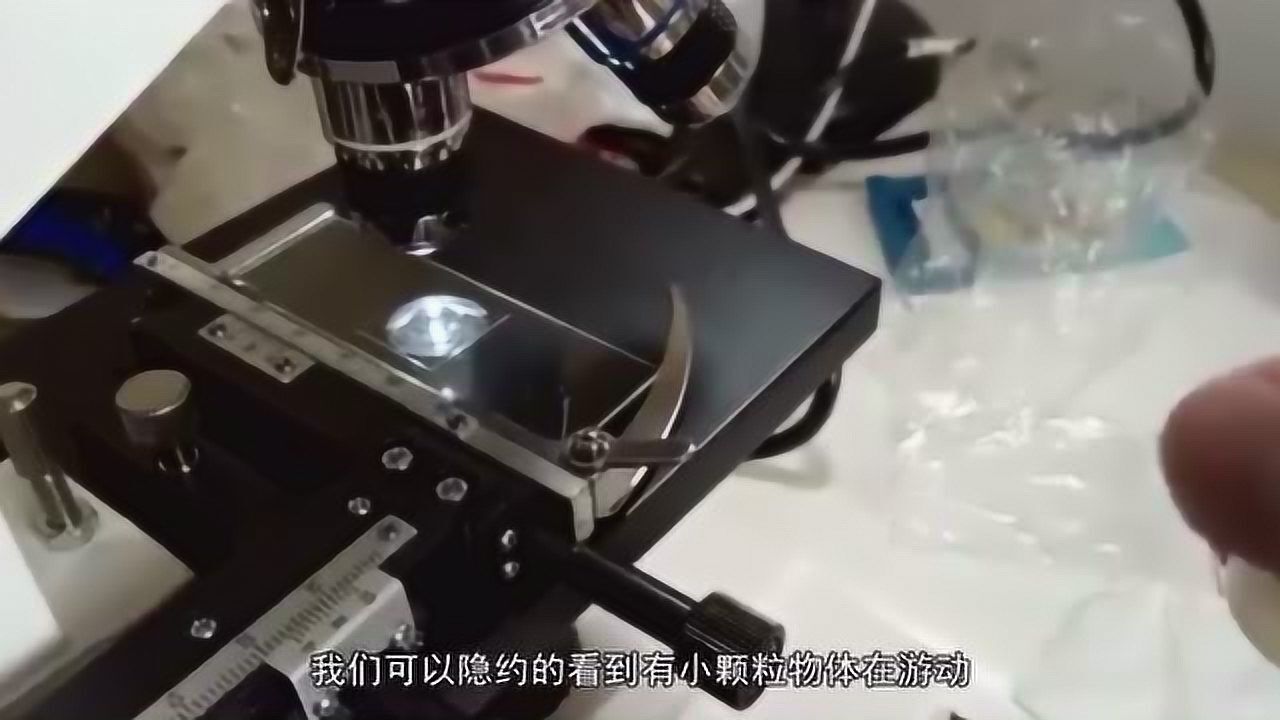 显微镜下：将精子放大2000倍，看到底跟教科书有何不同？竟有这成分_高清