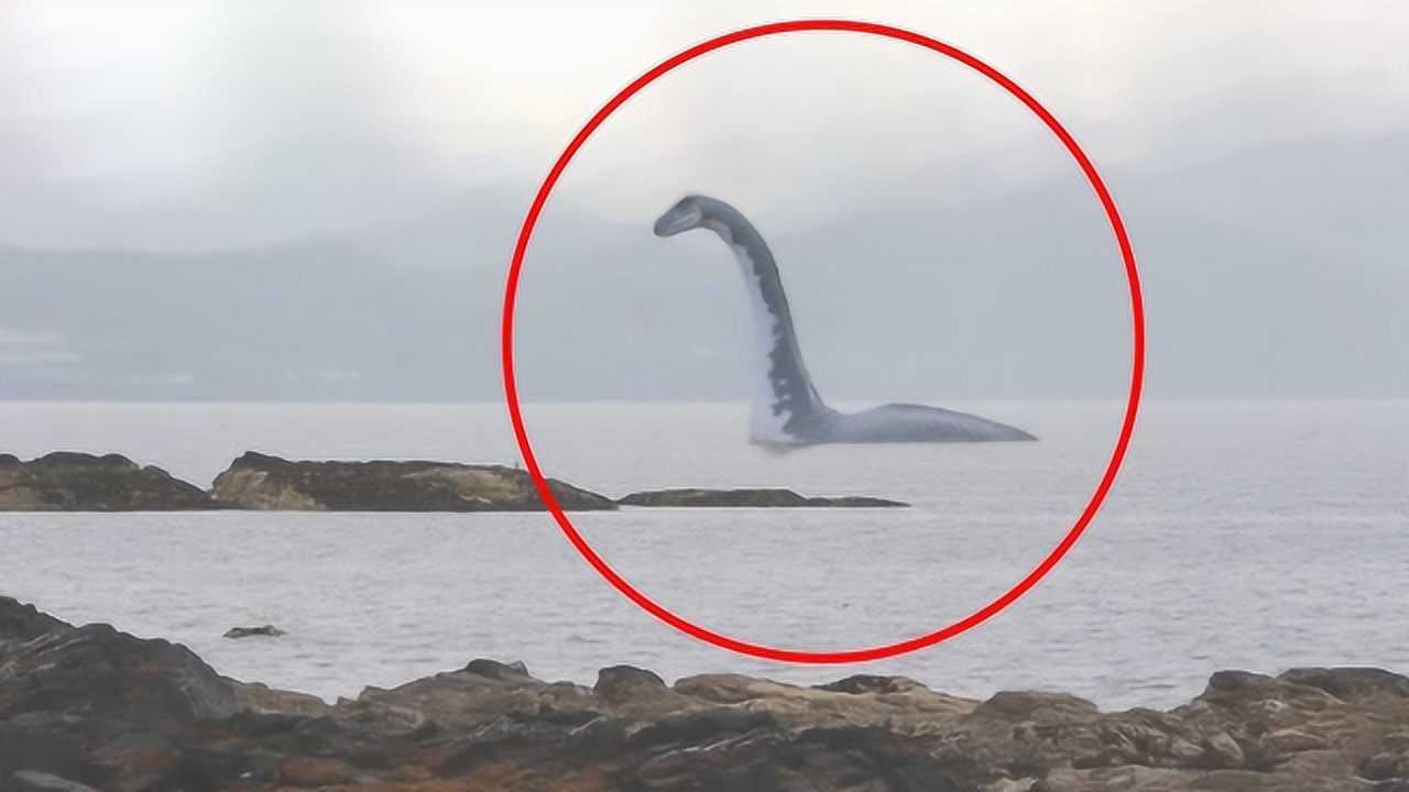 尼斯湖水怪难道是恐龙神秘真相终于揭晓真相令人尴尬