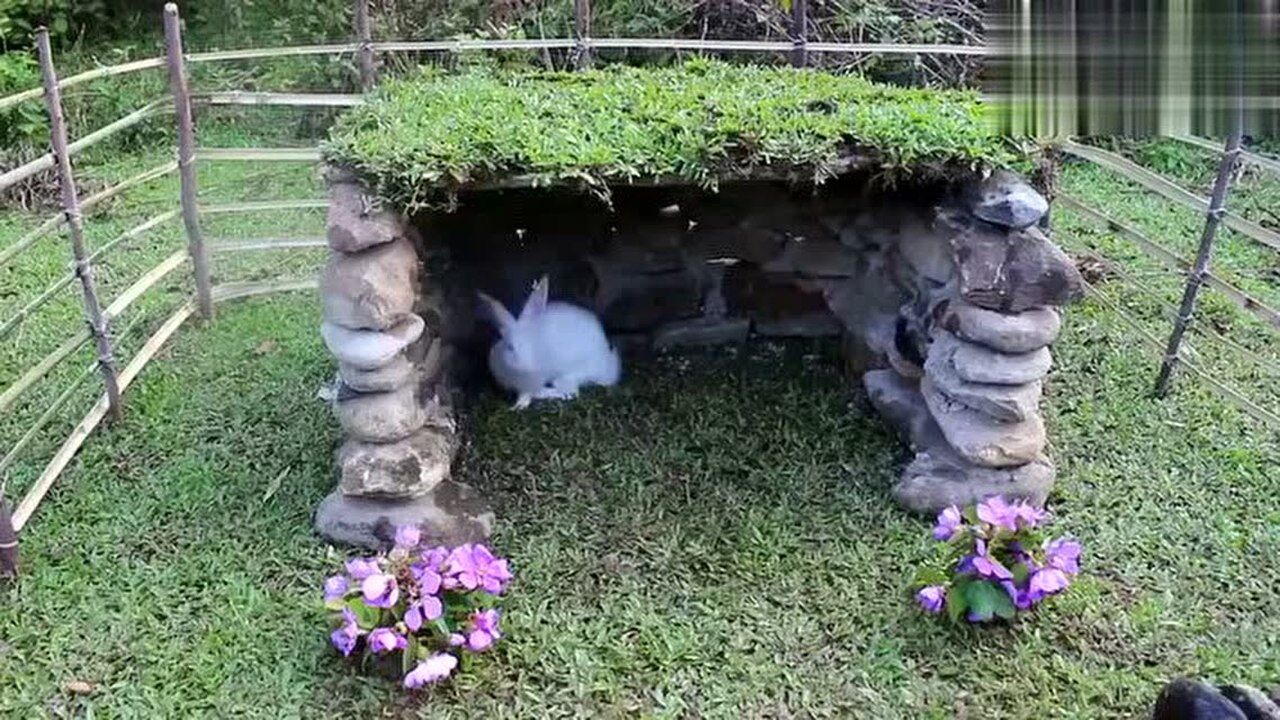 野外生活农村小哥开始养兔子草地里搭建小房子啦