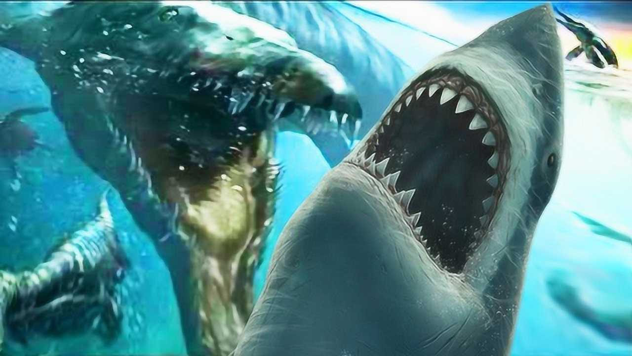 实拍沧龙大战巨齿鲨场面激烈堪比世界末日镜头拍下全过程