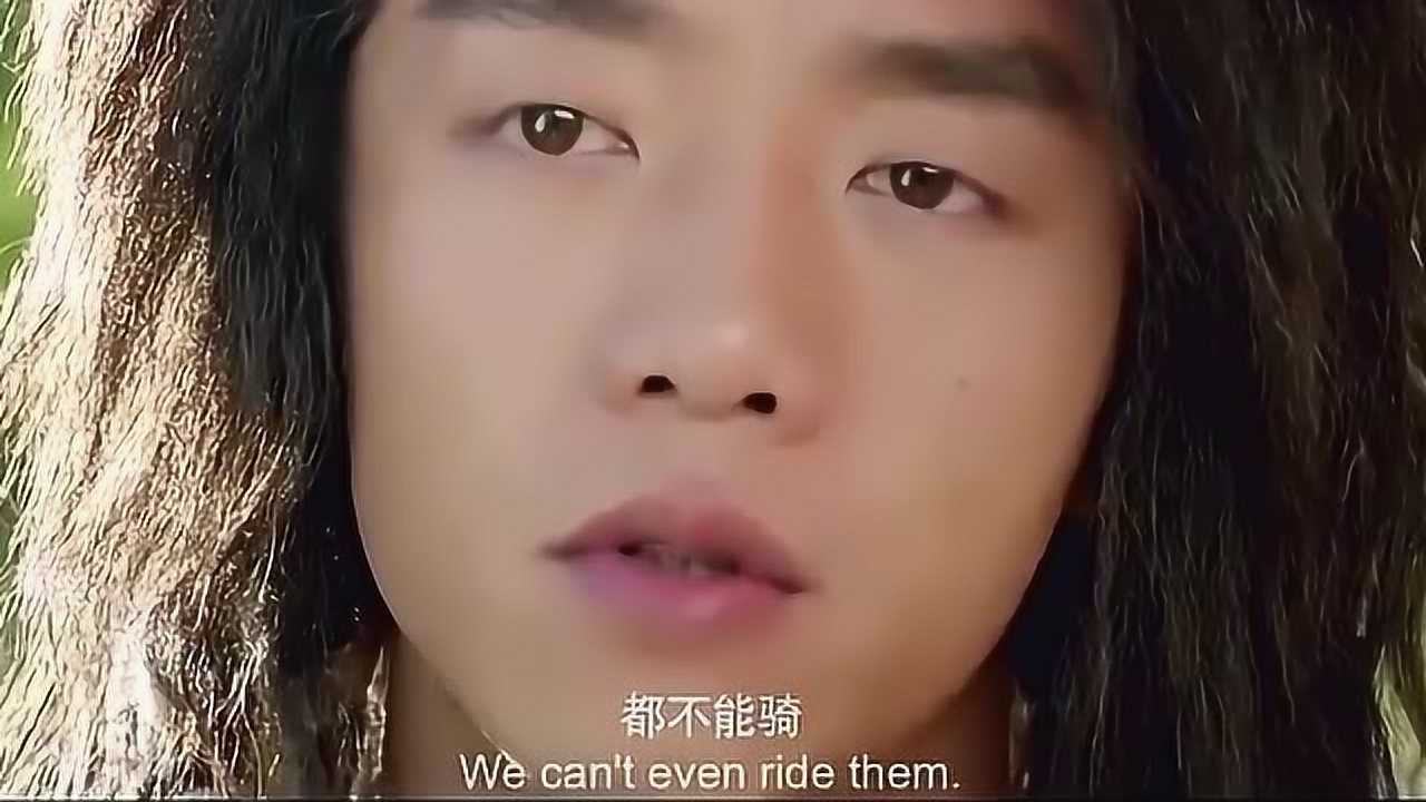 男子骑羊驼,被羊驼直接吐口水,哈哈哈赤裸裸的嫌弃!