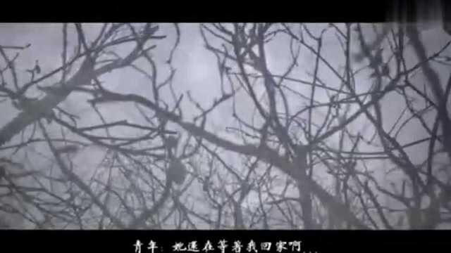 一首好听的古风音乐《葬仙》,我祈求天地万物,护你一生无恙!