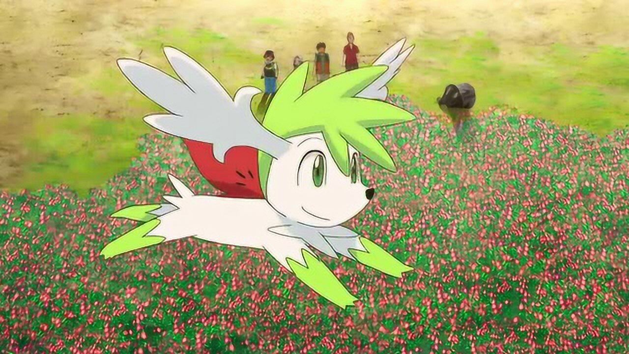 口袋妖怪,谢米含泪告别小智,在花丛中变换形态飞向天空