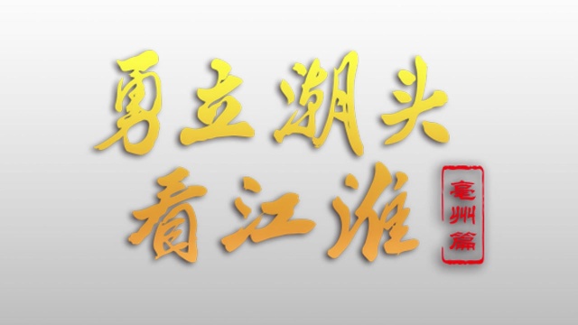 《勇立潮头 看江淮》亳州片