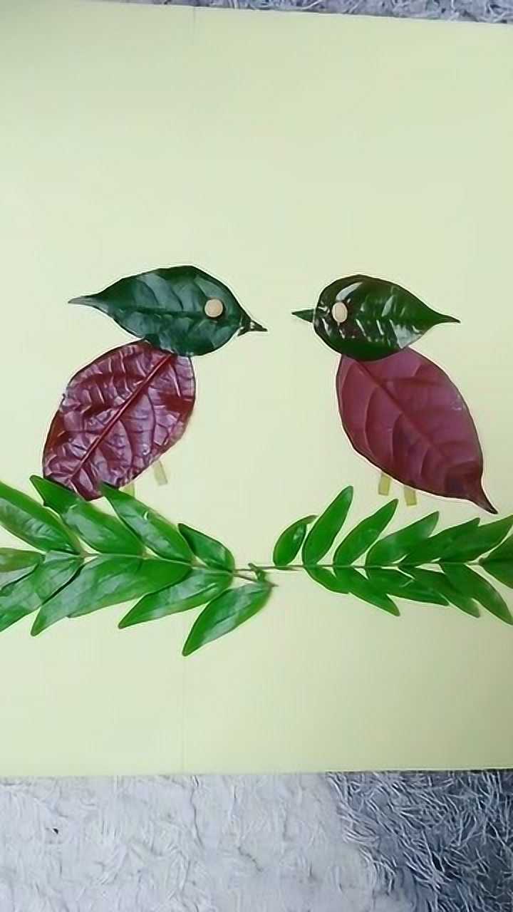 用树叶怎么做手工 腾讯网