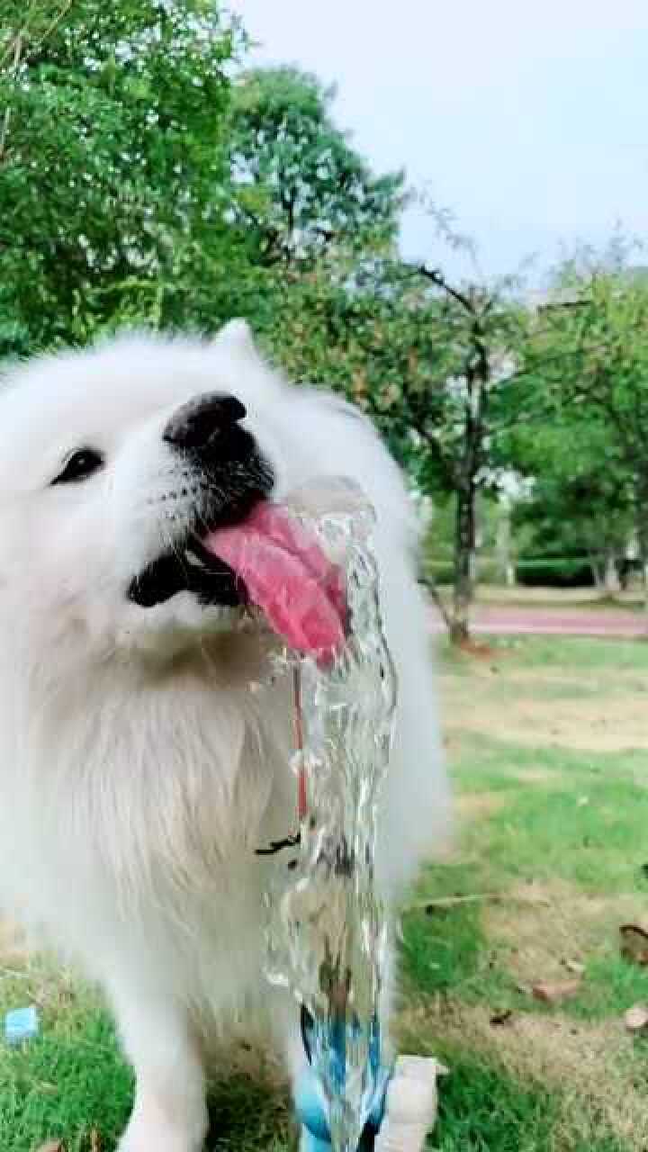 来腾讯视频看更多热门视频