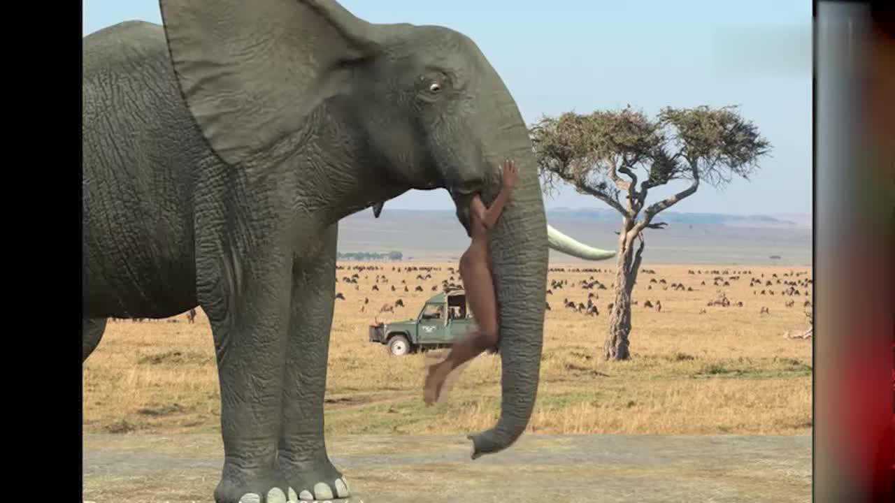 大象一言不合就把非洲土著吞掉,光看动画都觉得吓人!