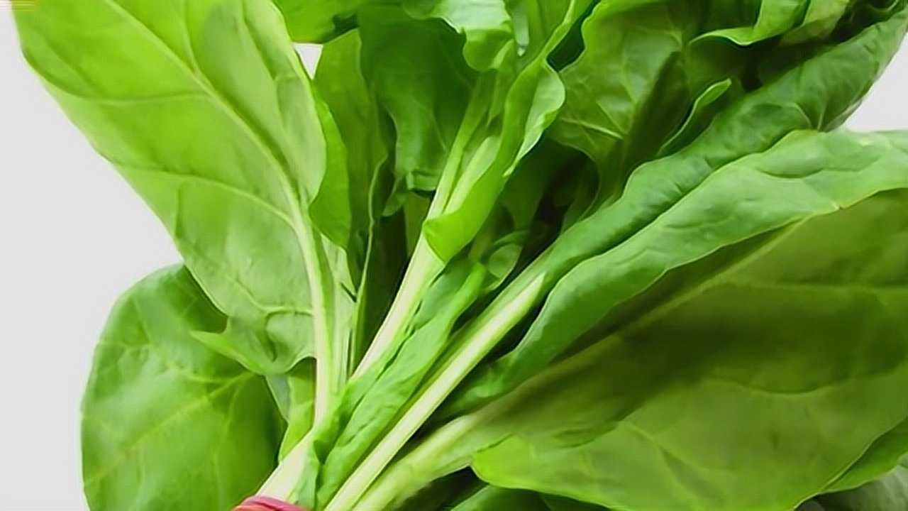 含有大量植物纤维的美食,可以提高抗病能力和新陈代谢!