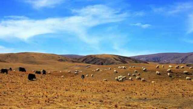 青海一高原消失于地图,1700位村民一言不发迁徙,6年后无人不服气