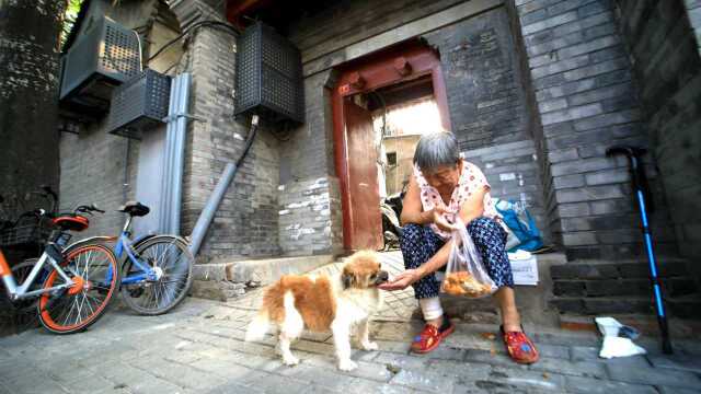 北京胡同街头纪实:百年历史南锣鼓巷