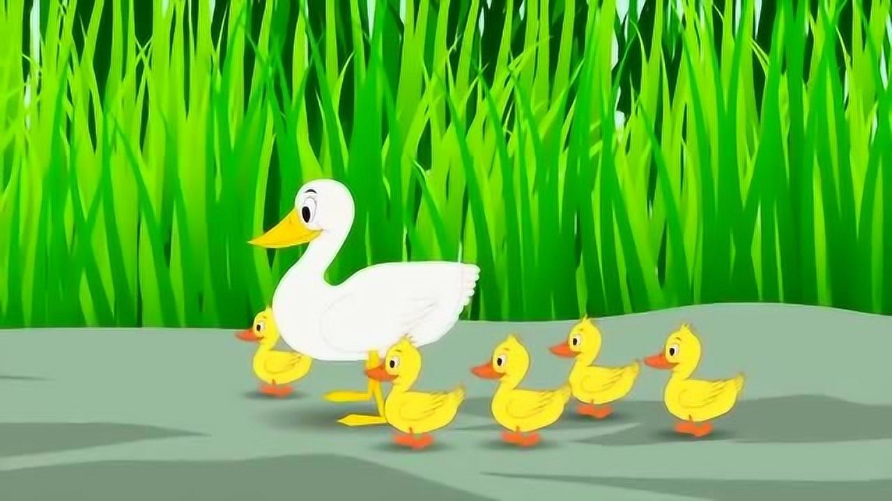 幼儿启蒙儿歌:鸭妈妈带着5 只小鸭子去游玩