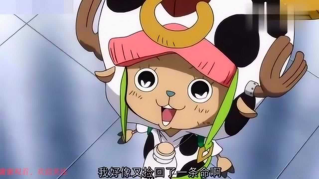 海贼王感觉三个人都要把他吃了唯有乔巴一脸崇拜着看着他