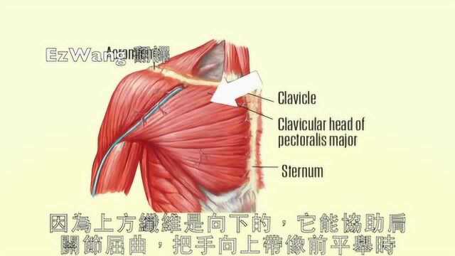 训练肌肉生长最科学的9个方法,你练对了吗?一起来看看吧!