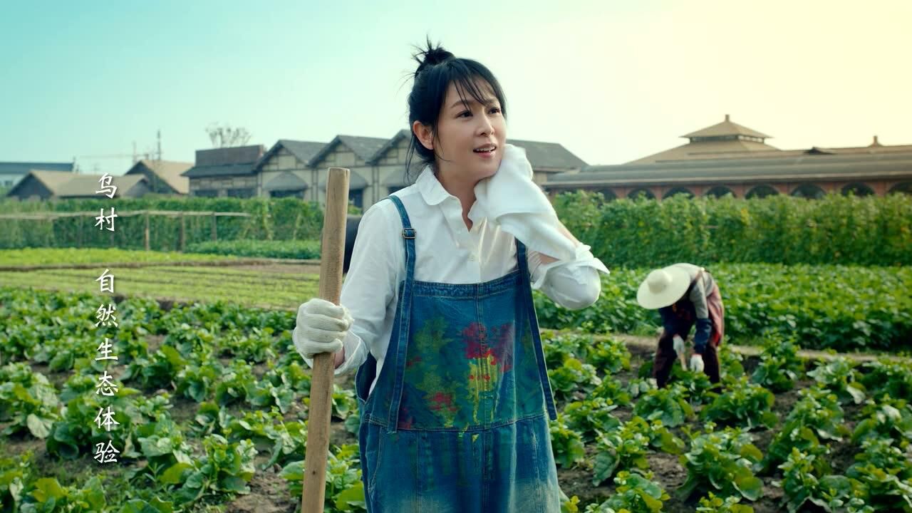 刘若英代言乌镇