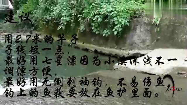 钓鱼之村中小溪钓“溪石斑”的技巧