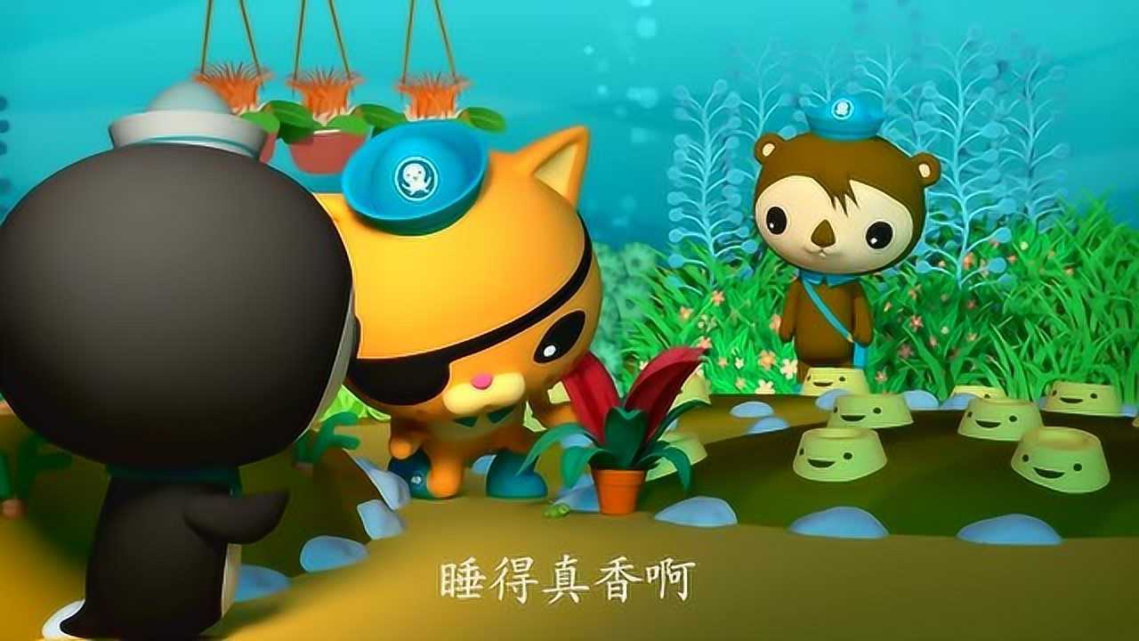 海底小纵队小纵队帮助树龙虾送回了家