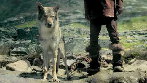 男孩救了一条野狼，不但跟它成了朋友，还把它带回家养成了一条狗