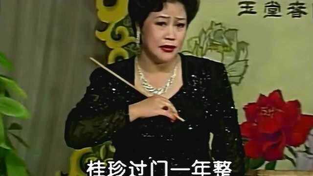 杨雅琴西河大鼓《刘云打母》