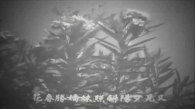 港星陈宝珠吕奇1966年演唱的歌曲粤语版十八姑娘一朵花