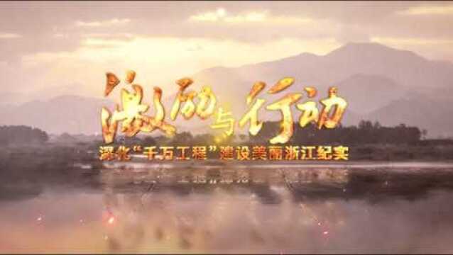 激励与行动深化“千万工程”建设美丽浙江纪实