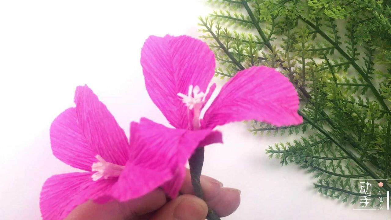 纸花教程:教你用皱纹纸制作漂亮的三角梅