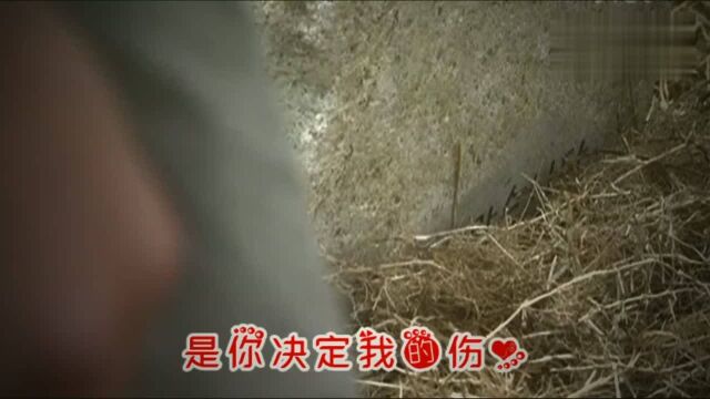 醉了醉了李圣杰一首《是你决定我的伤心》太伤感了,好听极了