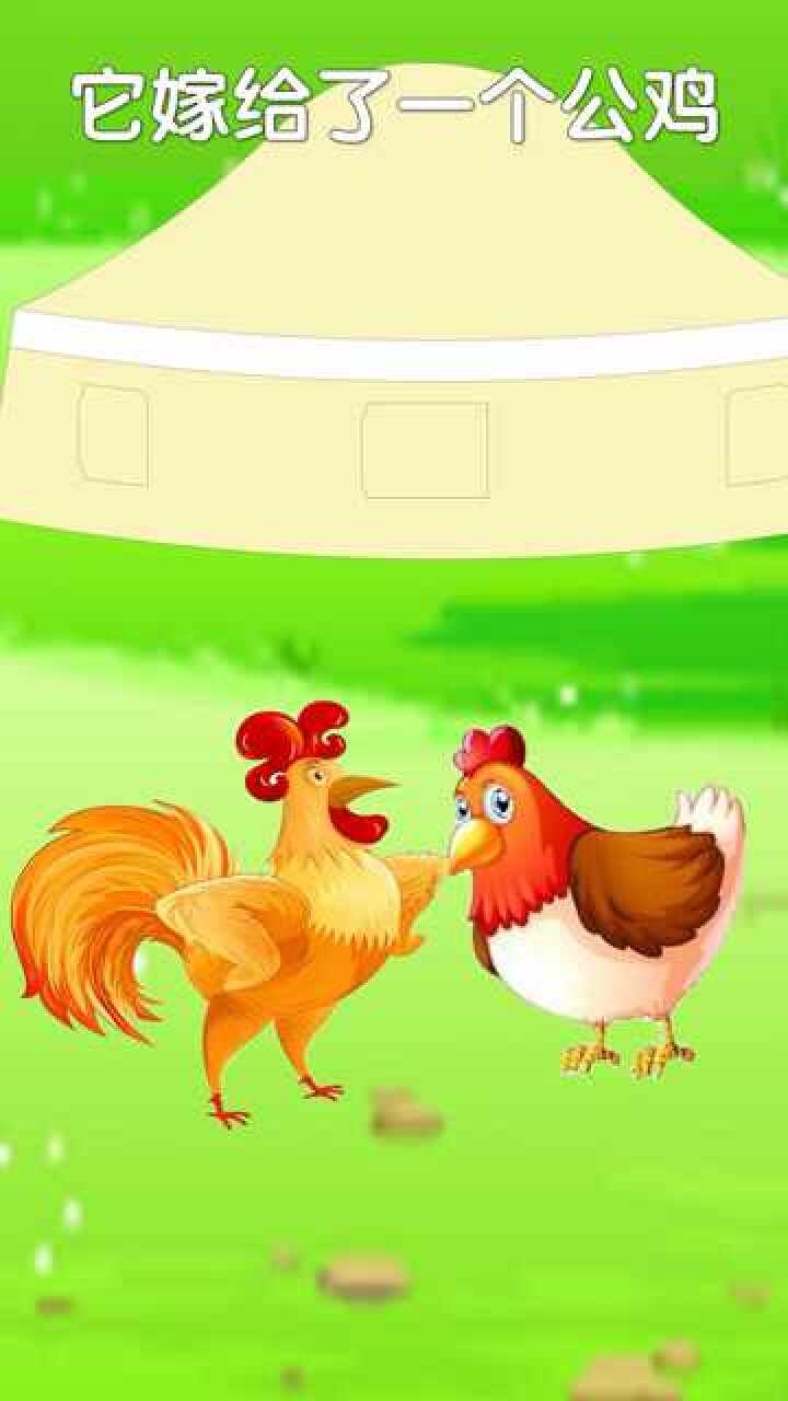 母鸡嫁给公鸡,下蛋的窝都挪了?你知道为什么吗?