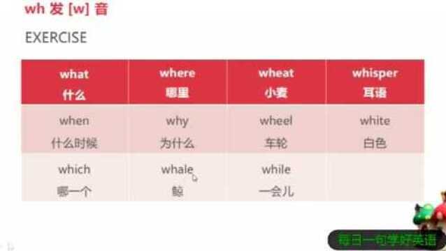 每日一句学好英语,辅音字母wh的发音二