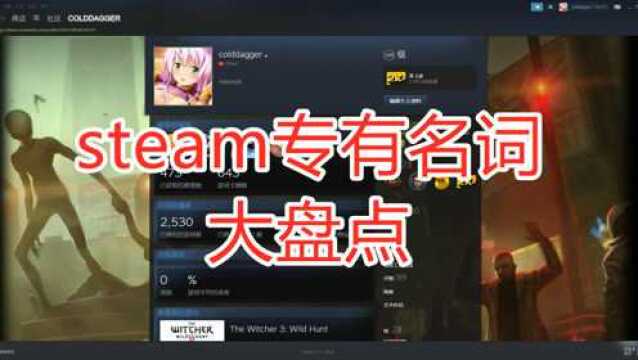 steam专有名词大盘点