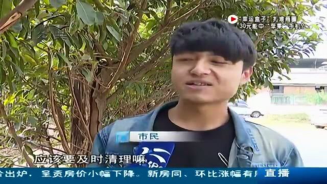 小黄车堆积成山 市民怨声载道