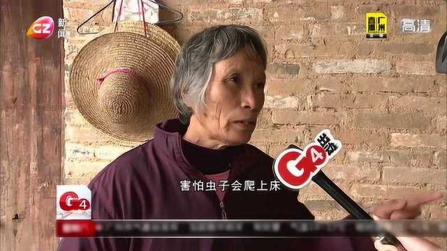 G4落力帮:陆婆婆家的“马陆”