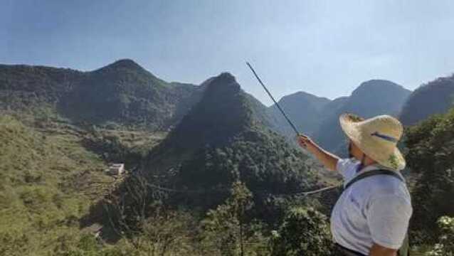 和瑞风水网老虎擒猪宝地,风水大师寻龙点穴阴宅墓地祖坟风水视频