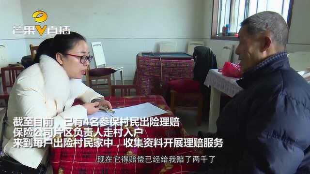 怀化辰溪:小额人身保险进入农村 与新农合一道保障村民生活