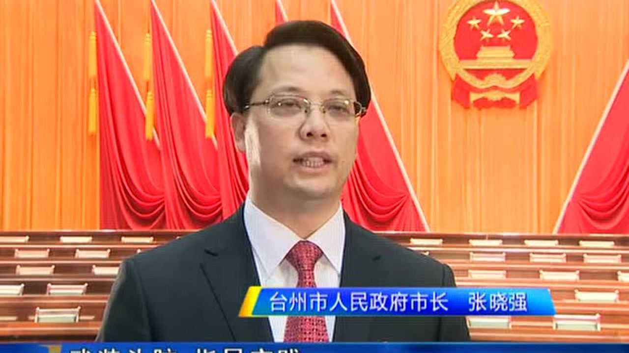 张晓强市长专访_高清1080P在线观看平台_腾讯视频